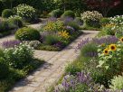 How to Define a Garden? Unleash Your Creativity—Share Your Ideas and Join Our Green Community!