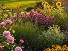 Should You Plant Shrubs in a Straight Line? Discover the Pros & Cons—Join the Debate Now!