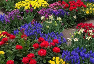 What is the Best Additive for a Garden? Discover Secrets & Share Your Tips Today!