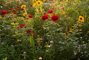 What’s the nicest thing to say to someone? Share your thoughts and spread kindness today!