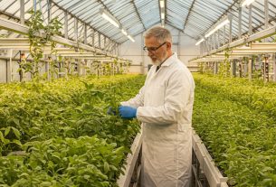 Armário pequeno cultivo: Transforme seu espaço! Descubra dicas e compartilhe suas plantas!