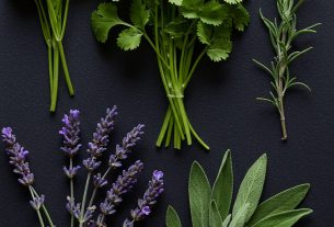 Casa de Ervas Pontal do Paraná: Discover Nature's Remedies - Join Us for a Healing Experience!