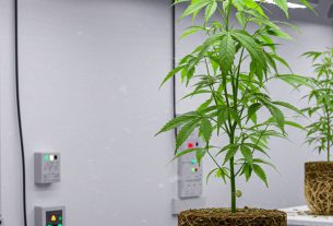 Cultivo Visto Desde Arriba: Descubra Técnicas Inovadoras e Compartilhe Suas Experiências!