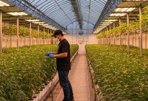 Cultivo de Urina 24 Horas: Para Que Serve? Descubra Agora e Tire Suas Dúvidas!
