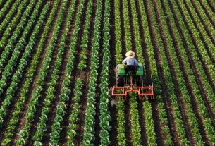 Diferencia entre cultivo y exudado: Descubra agora e compartilhe suas experiências conosco!