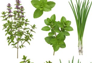 Ervas Naturais para Libido: Descubra e Compartilhe Seus Segredos! Clique e Aprenda Mais!