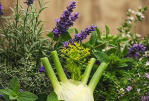 Ervas e Temperos: Descubra Receitas Deliciosas e Compartilhe suas Favoritas!