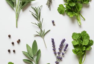 Ervas para Limpeza Espiritual: Descubra Como Transformar Sua Energia Hoje!