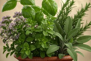 Natureba Ervas: Especialista em Produtos Naturais! Descubra e Comente Suas Favoritas!