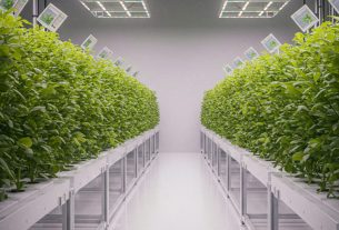 O que é o cultivo protegido? Descubra agora e transforme sua produção agrícola! Clique e saiba mais!