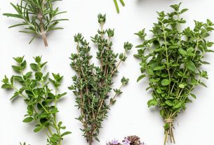O que é o tempero ervas finas? Descubra, experimente e transforme suas receitas hoje!