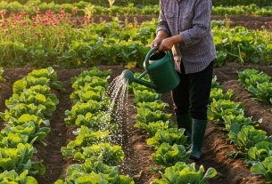 Qual cultivo é mais lucrativo? Descubra agora e comece a aumentar seus lucros hoje!