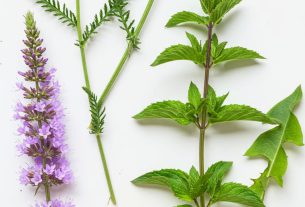 Fitoterapia