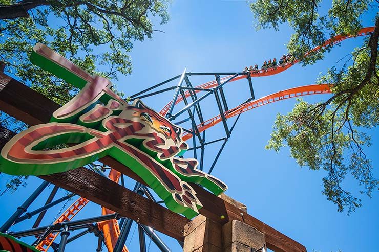 New roller coaster at Busch Gardens (Photo: Disclosure)