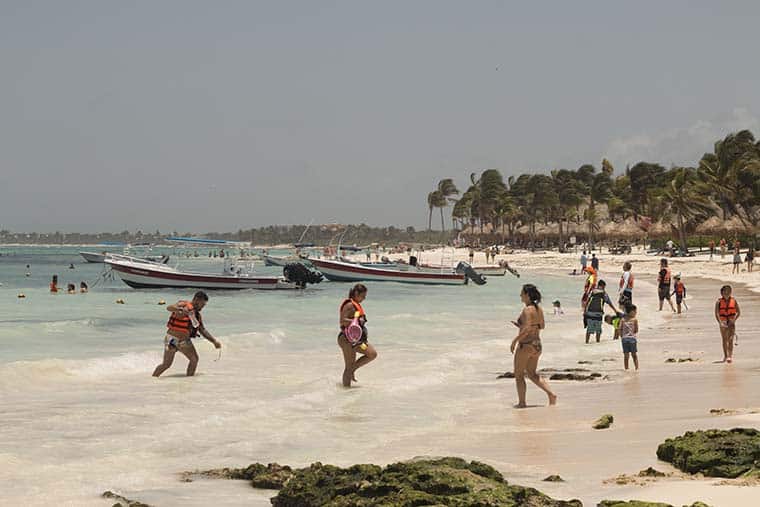 akumal swim with turtles Mexico