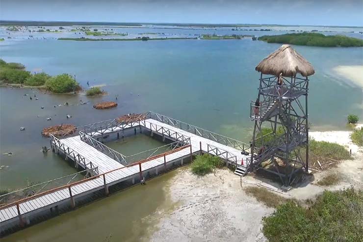 Punta Sur Park observation tower (Reproduction/YouTube)