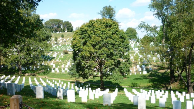 Arlington Cemetery in Washington (Photo: This World is Ours)