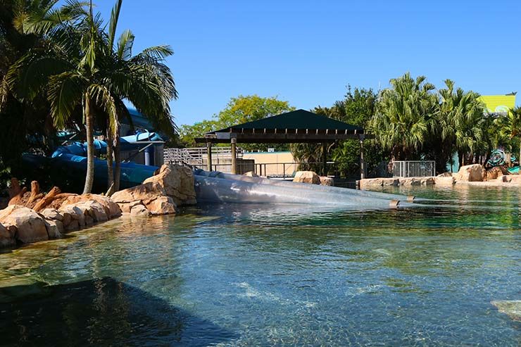 Aquatica Orlando (Photo: This World is Ours)