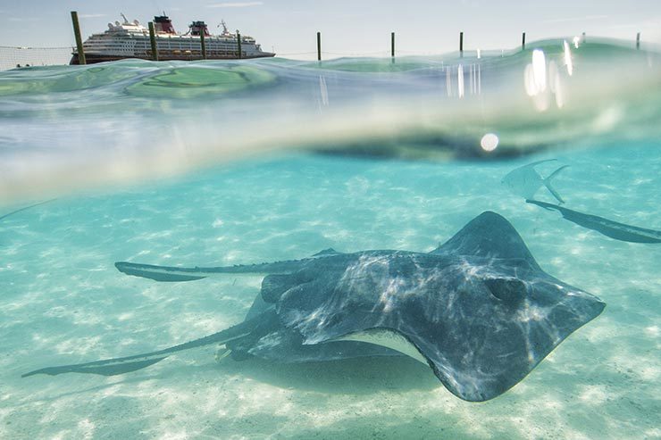 Castaway Cay: Disney's private island in the Caribbean (Photo: Disclosure/DCL)