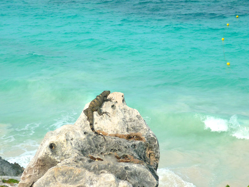 Tulum, Mexico (Photo: This World Is Ours)