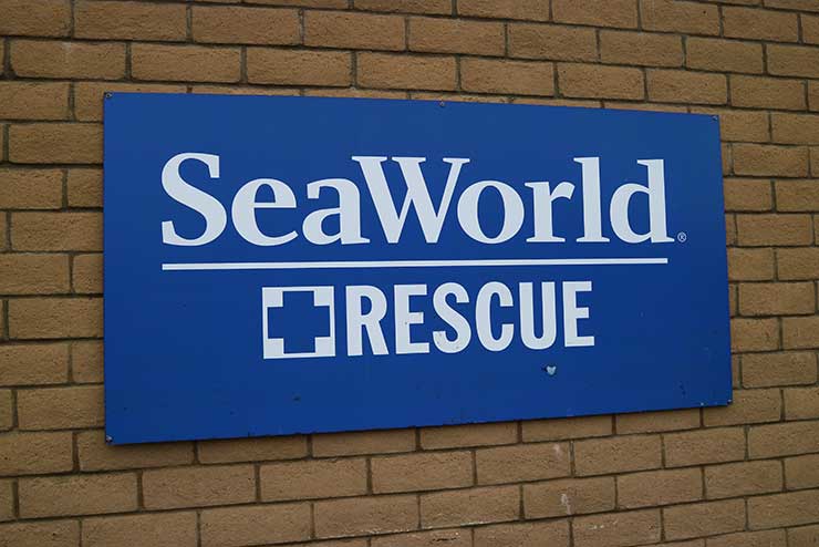 SeaWorld San Diego (Photo: This World is Ours)