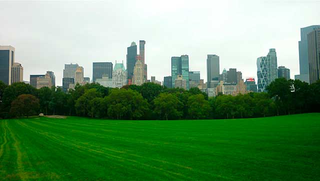 Connection in New York (Photo: This World is Ours)