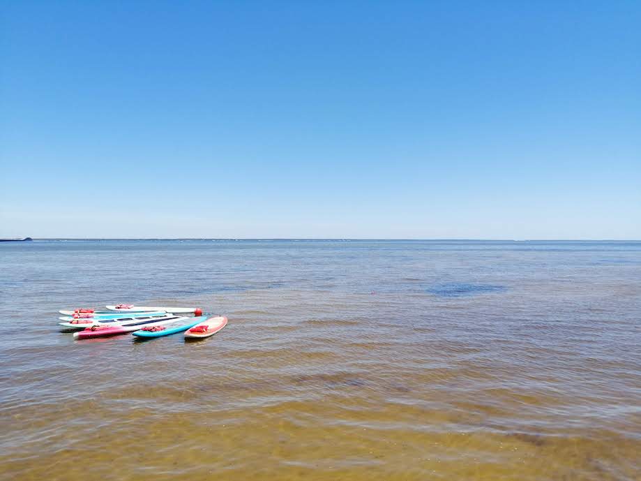 SUP boards on Destin beach, Florida