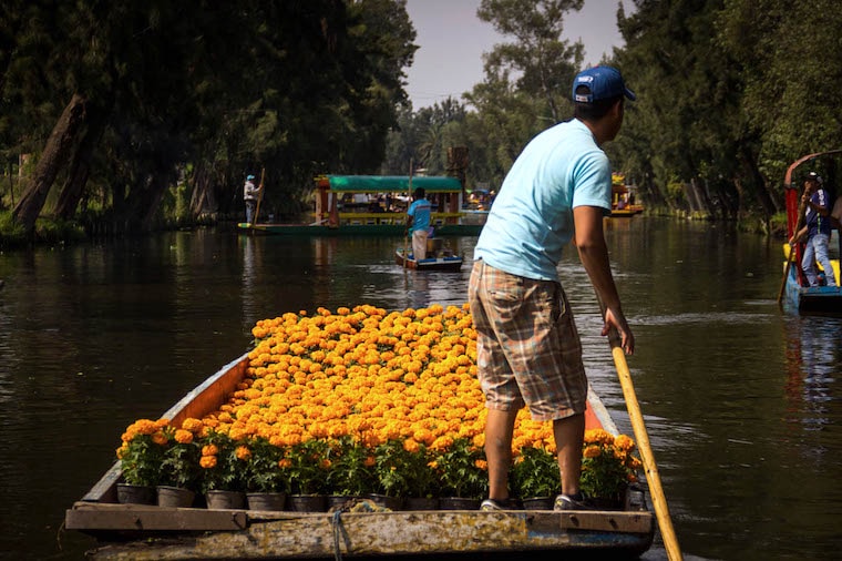 Trajineras of Xochimilco