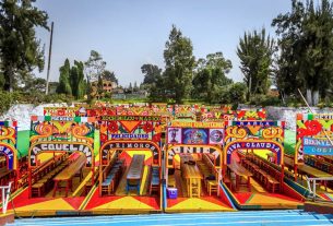 Tour in the trajineras of Xochimilco, Mexico City