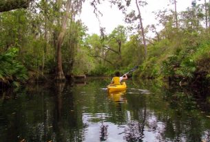 Nature, adventure and kayaking near Orlando