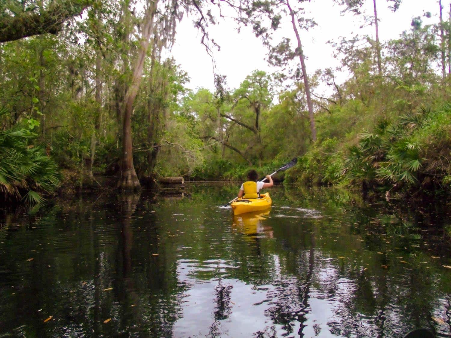 Nature, adventure and kayaking near Orlando