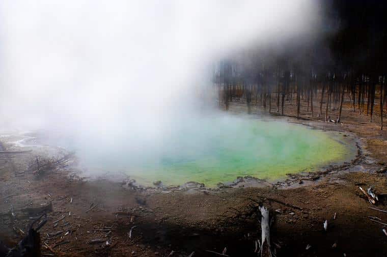 yellowstone national park