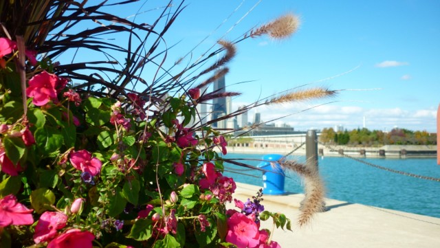 Navy Pier (Photo: This World is Ours)