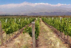 Travel tips for Mendoza