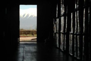 Mendoza wineries