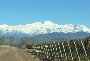 Passeio pelas Argentinian wineries