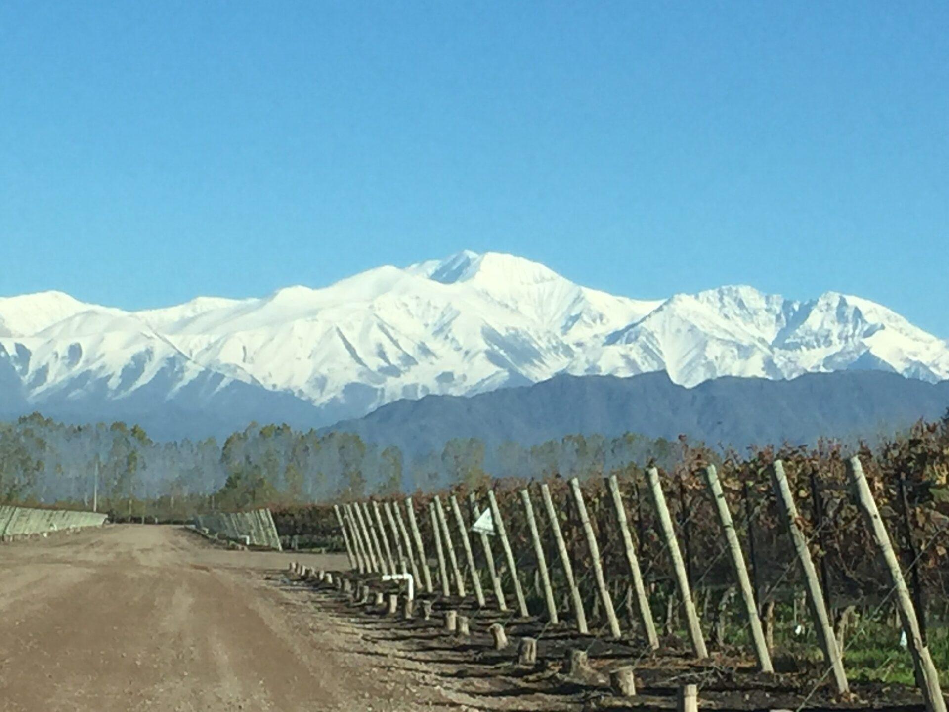 Passeio pelas Argentinian wineries