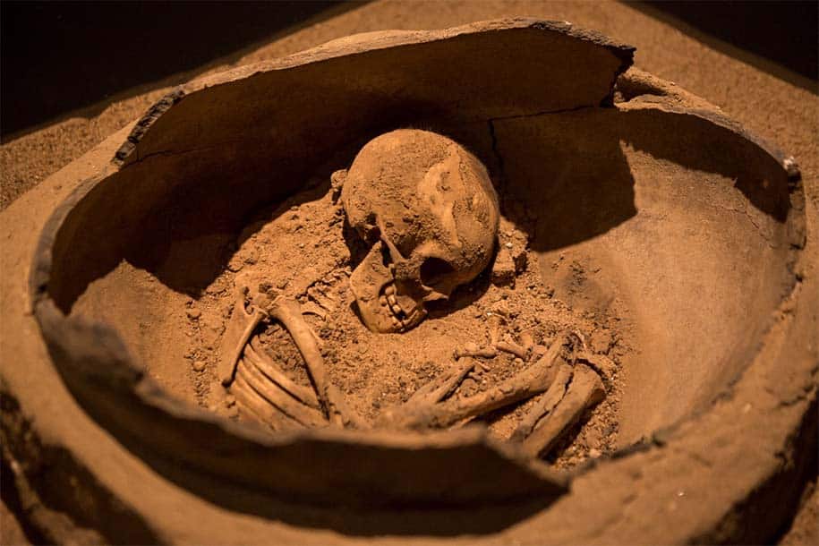 skeleton found during excavations 