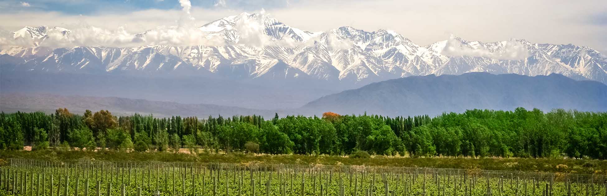 mendoza argentina