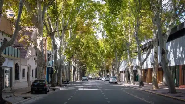 Quiet street, full of trees and houses in the center of Mendoza.  This is a good option for where to stay in the city.