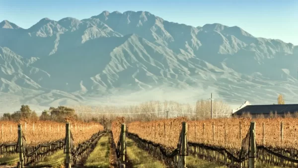 Wineries in Mendoza during the dry season, with the Andes mountains in the background. 