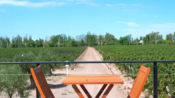 A restaurant table with two chairs in front of a vineyard plantation.  Maipu is a great option for where to stay in Mendoza. 