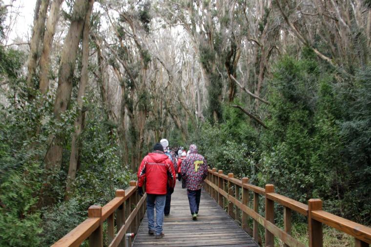 Arrayanes Forest - Bariloche