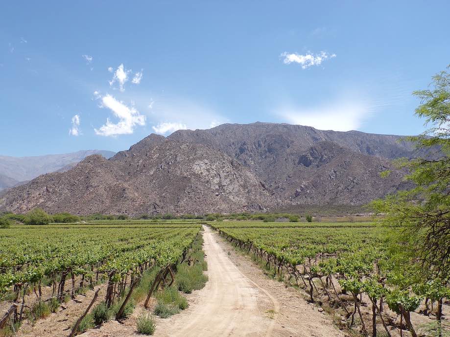 Northern Argentina - Cafayate