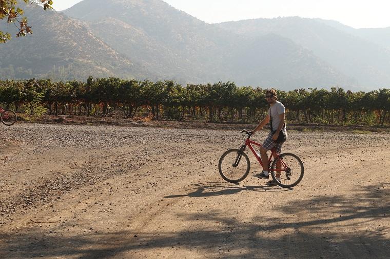 bike tour at Santa Rita Winery, Chile