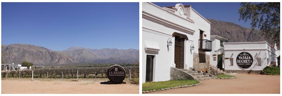 Cafayate Wineries - Argentina 