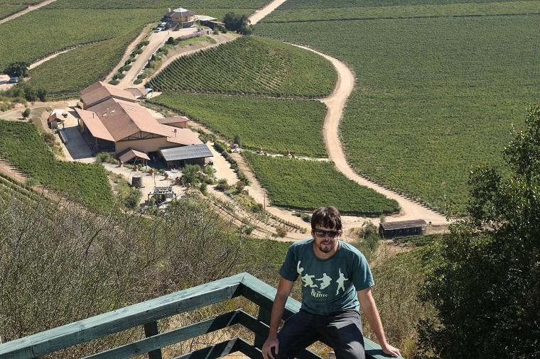 Vines of Chile