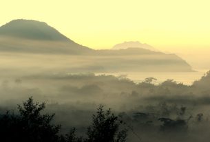 Guia Completo para Visitar Ubatuba no Brasil