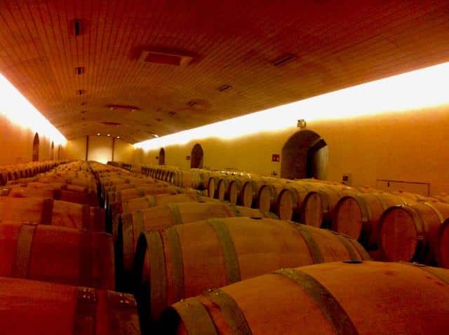 Bodega-da-Concha-Y-Toro-Santiago