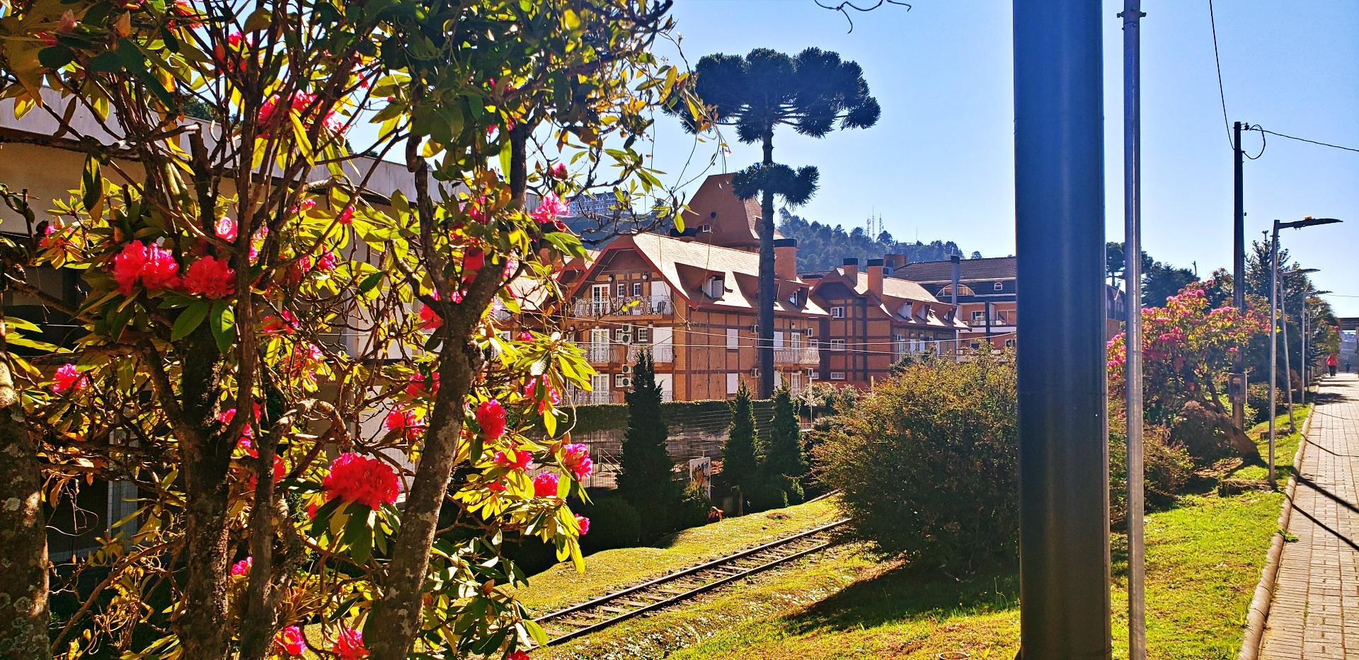 Winter in Campos do Jordão: where to stay?